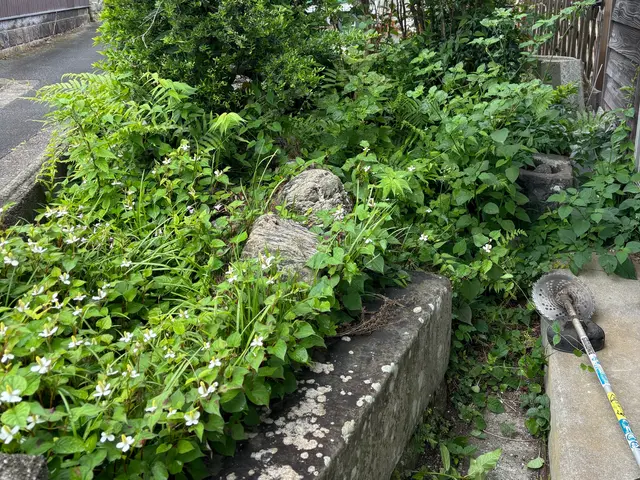 駐車場　お庭　お持ちの土地で、雑草や竹で　お困りの方、ご連絡お待ちしてますサービスの画像