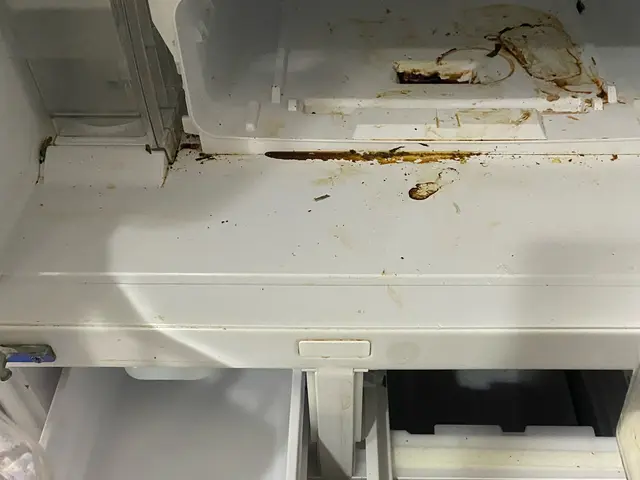 ★食品カス、調味料だれなど、ピカピカにします！除菌コートサービス致します★サービスの画像