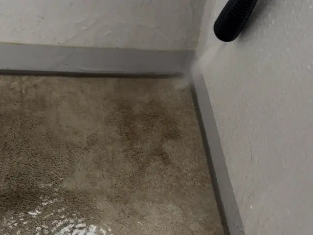 ・できる限りあなたのニーズにお応えし作業します。某大手メーカー高圧洗浄機使用サービスの画像