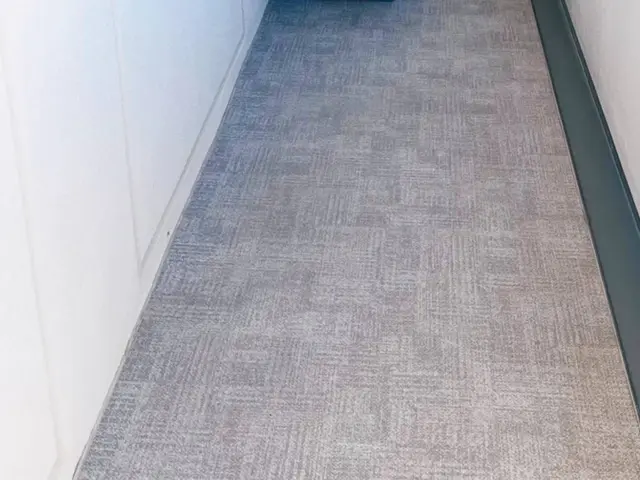 ・できる限りあなたのニーズにお応えし作業します。某大手メーカー高圧洗浄機使用サービスの画像