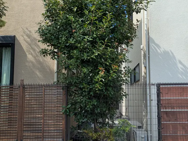 プロの技術でご満足いただけるように心を込めて作業いたしますサービスの画像