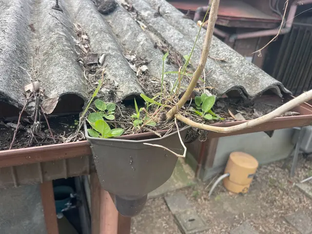 雨樋補修、雨樋、竪樋清掃サービスの画像