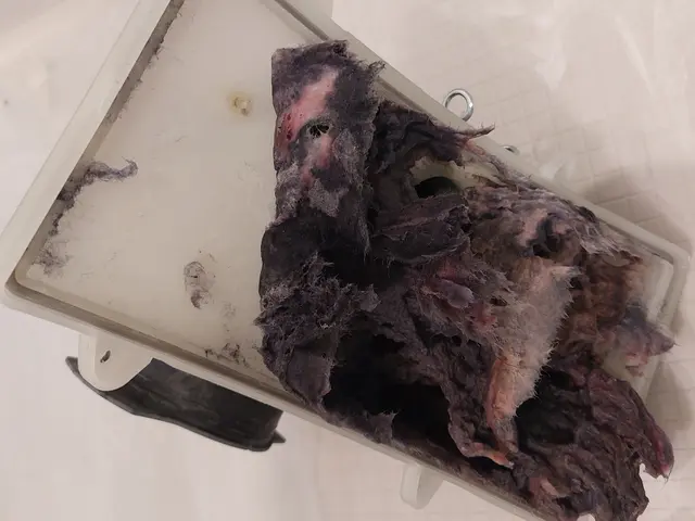 ◆SHARP専門◆ドラム式乾燥不良,U04エラーは乾燥経路清掃をお試し下さい。サービスの画像