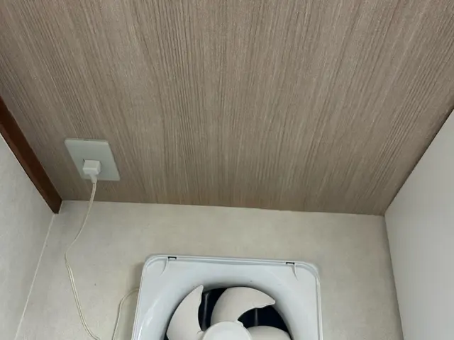 【即日】ネズミによる被害の放置は× 深夜対応可能。解決に繋げていきましょう。サービスの画像