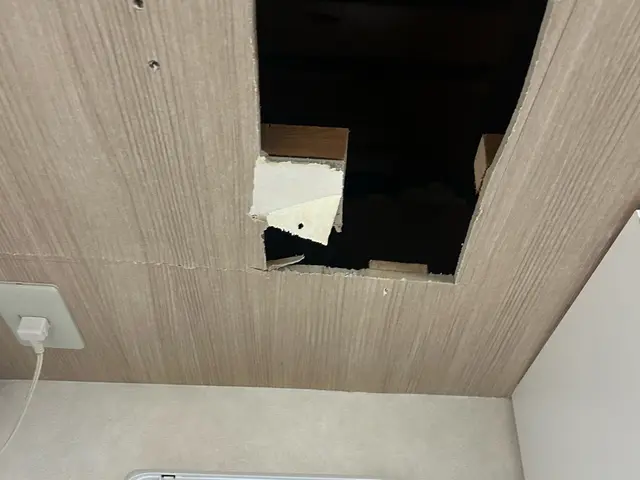 【即日】ネズミによる被害の放置は× 深夜対応可能。解決に繋げていきましょう。サービスの画像