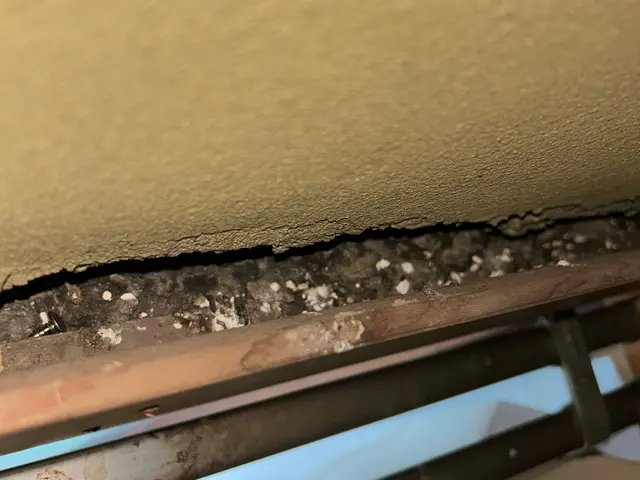 【即日】ネズミによる被害の放置は× 深夜対応可能。解決に繋げていきましょう。サービスの画像