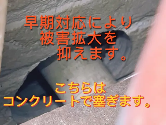 【即日】ネズミによる被害の放置は× 深夜対応可能。解決に繋げていきましょう。サービスの画像