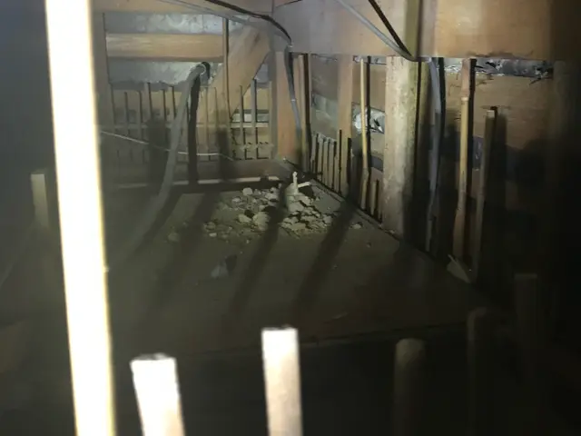 【即日】ネズミによる被害の放置は× 深夜対応可能。解決に繋げていきましょう。サービスの画像