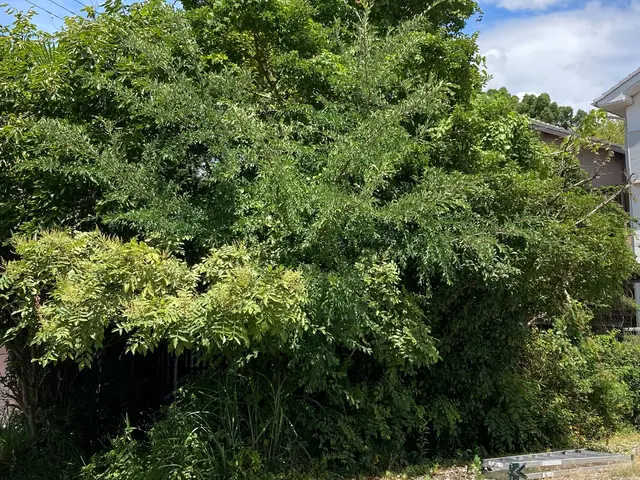 ◆年中無休！土日祝もご予約大歓迎◆営業時間外も対応可能◆お任せください！サービスの画像