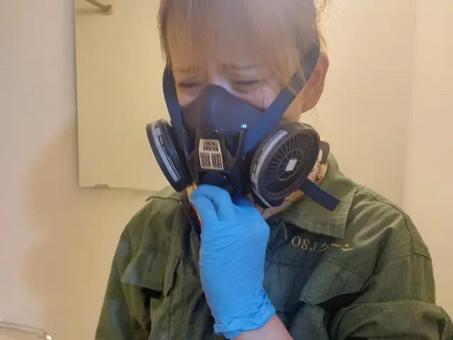 キッチン+換気扇清掃【女性スタッフ必ず同行】年中無休で営業中です。サービスの画像