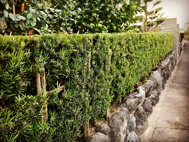 キャリア15年以上、累計5000件以上の実績なので安心です！サービスの画像