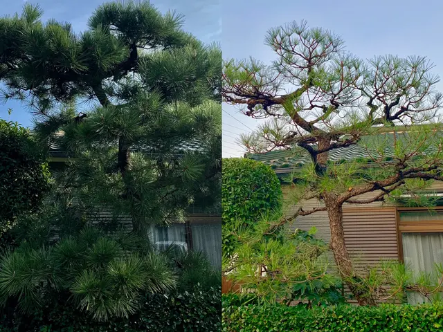 キャリア15年以上、累計5000件以上の実績なので安心です！サービスの画像