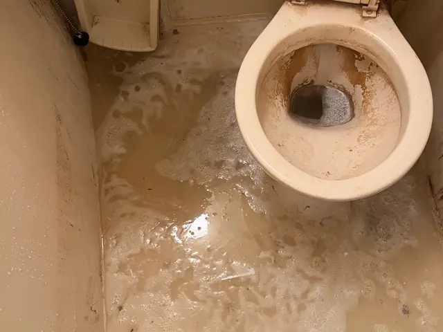 大手企業で実績信頼安心今だけの期間限定値段サービスの画像