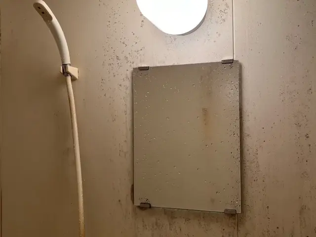 大手企業で実績信頼安心今だけの期間限定値段サービスの画像