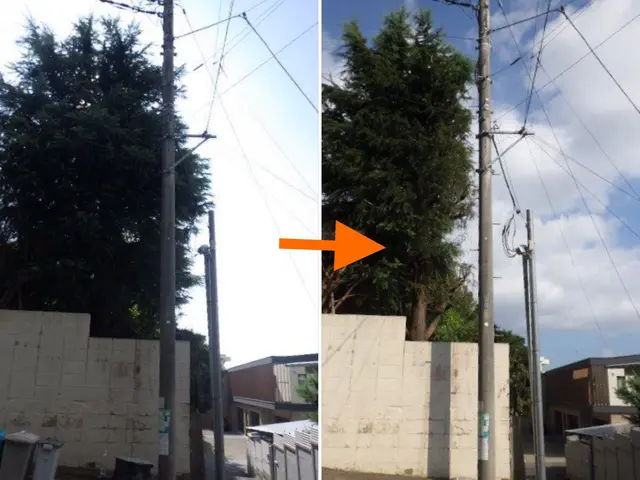 【信頼と実績の(有)関野造園】2/9,10,13,23で受付可♪≪1/23時点≫サービスの画像