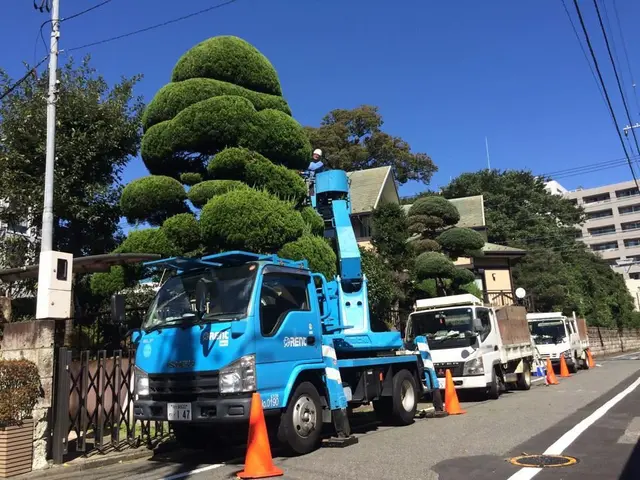 【信頼と実績の(有)関野造園】2/9,10,13,23で受付可♪≪1/23時点≫サービスの画像