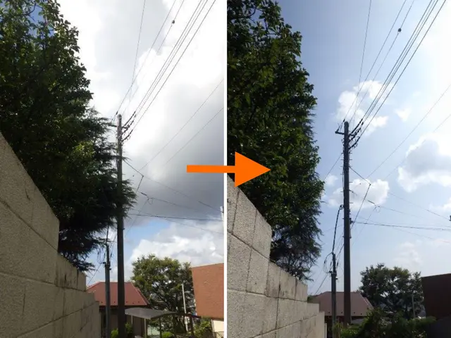 【信頼と実績の(有)関野造園】2/9,10,13,23で受付可♪≪1/23時点≫サービスの画像