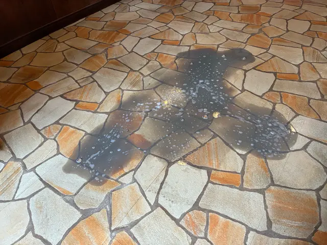 フロアポリッシャーによる洗浄、ワックス剥離・施工　小規模施設・店舗メインですサービスの画像