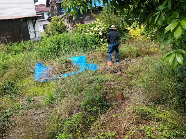 ◇庭木の剪定専門業者◇拘りの完全自社施工◇素敵なお庭作りサポートサービスの画像