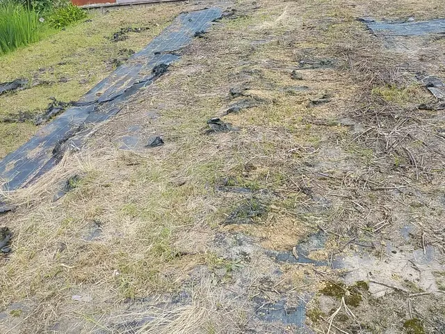 ◇庭木の剪定専門業者◇拘りの完全自社施工◇素敵なお庭作りサポートサービスの画像