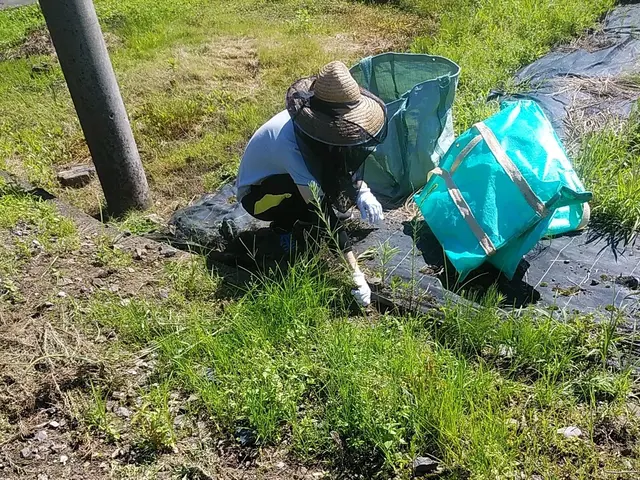 ◇庭木の剪定専門業者◇拘りの完全自社施工◇素敵なお庭作りサポートサービスの画像