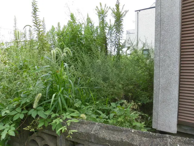 １１月～空きあり《仕上がり重視、丁寧作業自信あり！》お任せ下さいサービスの画像