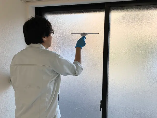 窓、サッシ掃除、カビ汚れ、排気ガス、花粉、一軒家、マンションなど、サービスの画像