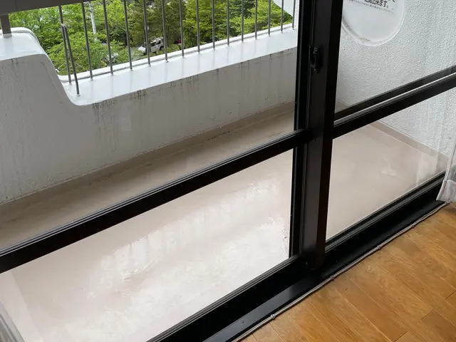 窓、サッシ掃除、カビ汚れ、排気ガス、花粉、一軒家、マンションなど、サービスの画像