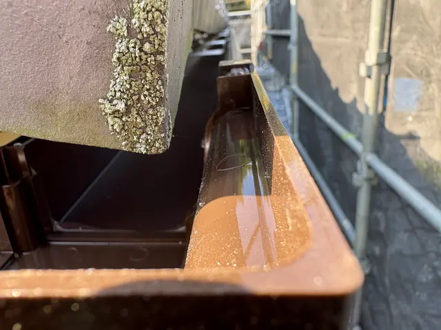 30年の実績と1000件以上の信頼！笑顔と元気で安心サービスサービスの画像