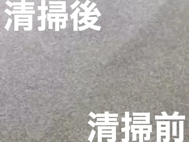 店舗やクリニックなどのカーペット洗浄お任せください！業務用機材使用サービスの画像