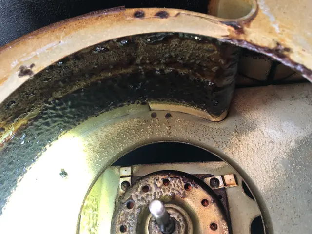 【女性スタッフがお伺い！】お子様やわんちゃんねこちゃんいらっしゃるご家庭大歓迎◉サービスの画像