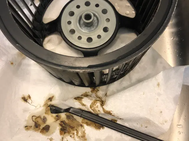 【女性スタッフがお伺い！】お子様やわんちゃんねこちゃんいらっしゃるご家庭大歓迎◉サービスの画像