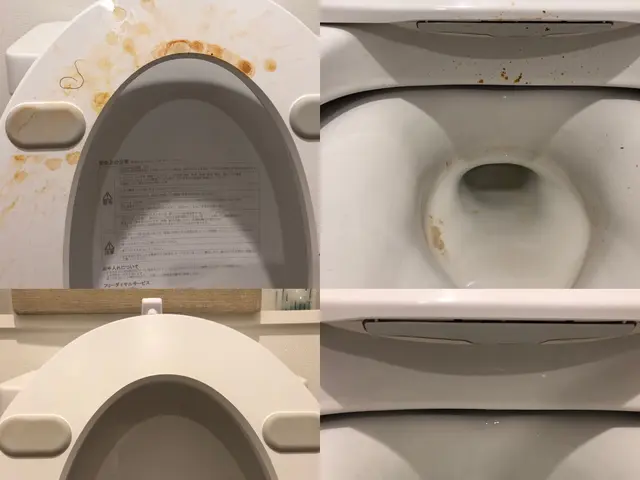 期間限定価格！　【ハウスクリーニング技能士在籍】☆業歴14年の信頼と実績☆サービスの画像