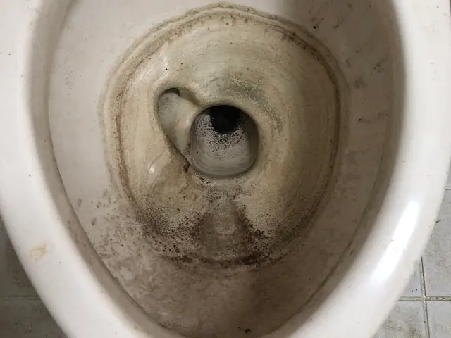 期間限定価格！　【ハウスクリーニング技能士在籍】☆業歴14年の信頼と実績☆サービスの画像