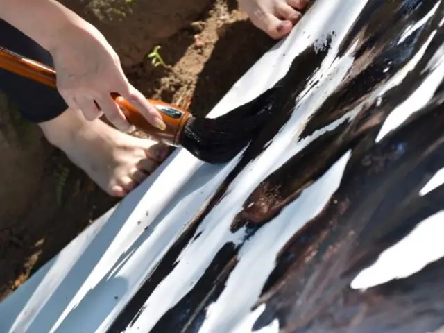 【24時間撮影OK】一年中承ります。自然な表情や動きを丁寧に思い出に残します。サービスの画像