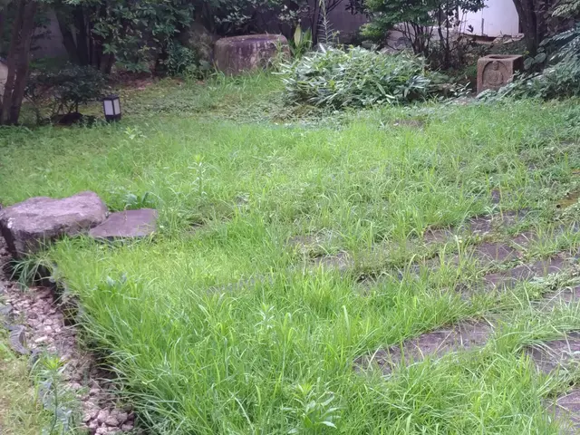 ★笑顔と人柄が決め手!  2時間で庭が劇変!!【天使の草刈り屋さん】サービスの画像