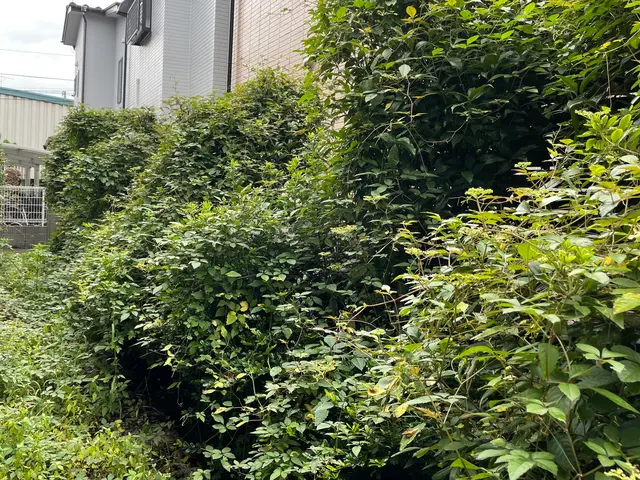 【作業実績1000件超】駐車場代当店負担◎アフターフォローも万全サービスの画像