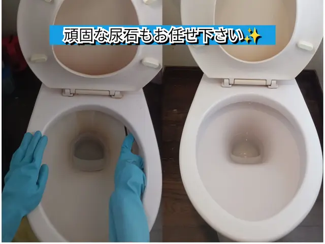 頑固な尿石もお任せください。プロが徹底洗浄◎サービスの画像