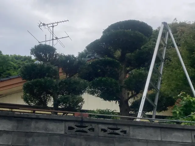 女性スタッフもおります。ご希望の方はお気軽にお声かけください♪サービスの画像