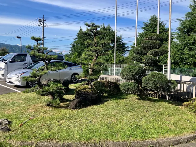 低木から松の木まで幅広く対応いたします！お気軽にご相談ください！サービスの画像