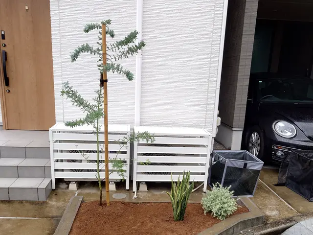 植木移植、植え替え！損害保険加入済み！営業時間外のご予約もご相談可能◎サービスの画像