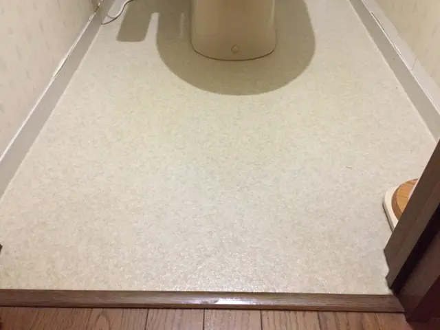 ☆☆尿石・匂い、スッキリ綺麗に無くします☆☆　◎pay pay・クレカOK◎サービスの画像