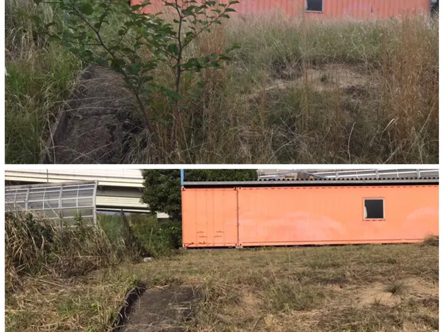 ★丁寧迅速な対応★草刈り作業　☆お任せください☆サービスの画像