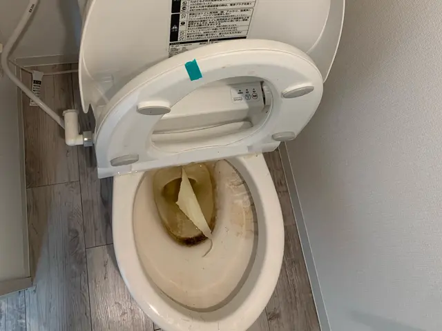 実績300件以上！ご自宅の水回りを徹底クリーニングサービスの画像