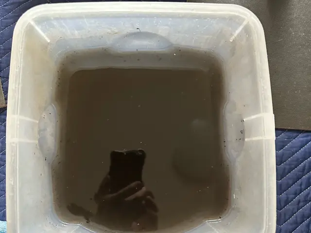 スタンダードエアコン(お掃除機能なし)お掃除機能付きは別途料金になります。サービスの画像