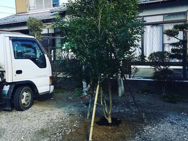 ＜業界歴10年の実績＞女性スタッフも活躍中♪損害保険加入済みで安心です！サービスの画像