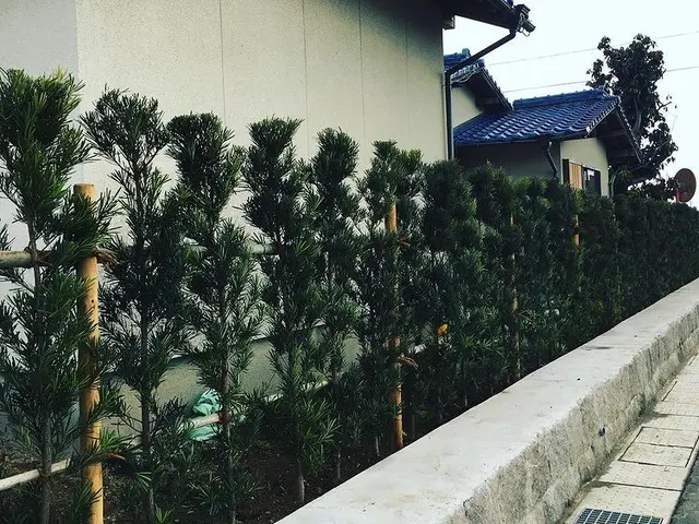 ＜業界歴10年の実績＞女性スタッフも活躍中♪損害保険加入済みで安心です！サービスの画像