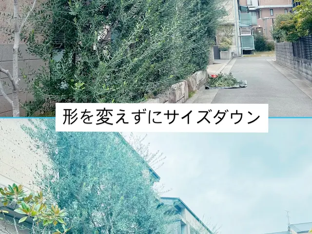 おしゃれに可愛くできますよ！手入れの仕方により全く違うお庭にすることができます。サービスの画像