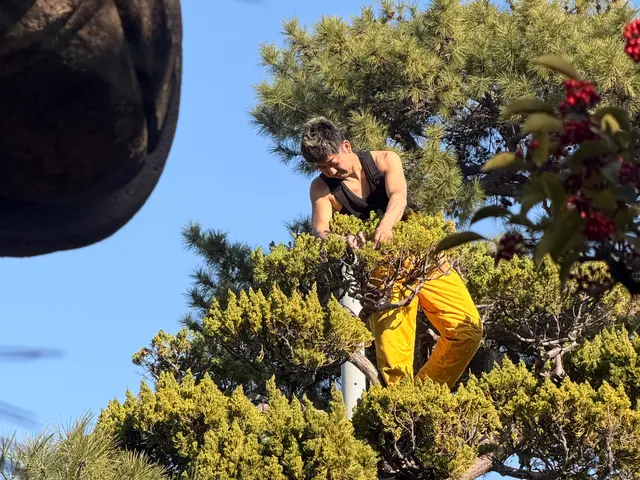 ◤兵庫県芦屋市で15年の実績◢ どんなことでも即対応させていただきます！サービスの画像