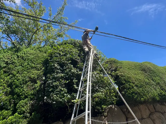 おしゃれに可愛くできますよ！手入れの仕方により全く違うお庭にすることができます。サービスの画像